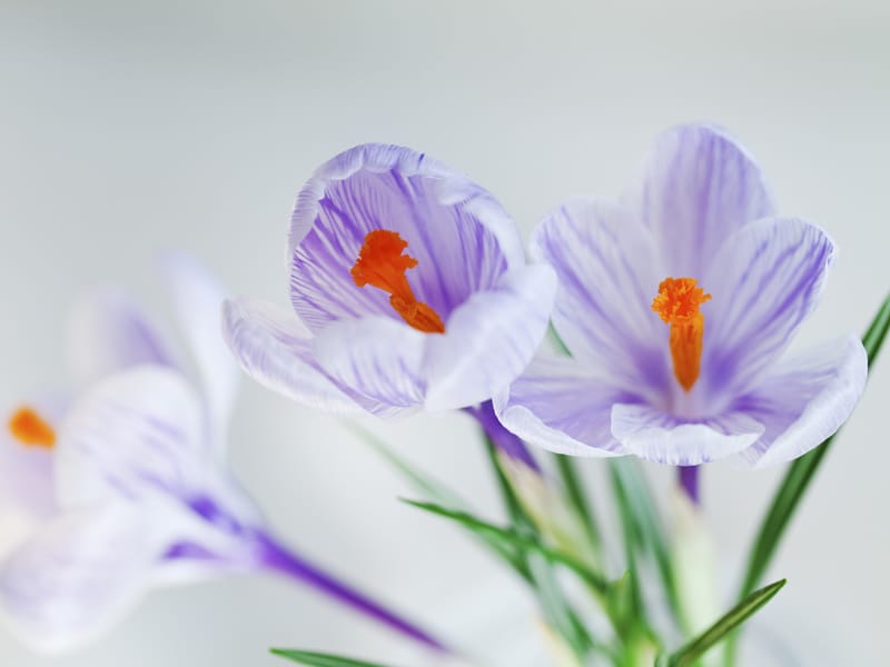 花園医院ができること